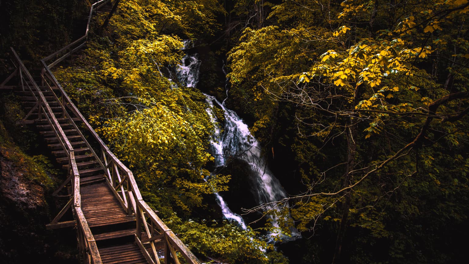 Wooden staircase descending through forested area toward a waterfall with lush green and yellow foliage.
