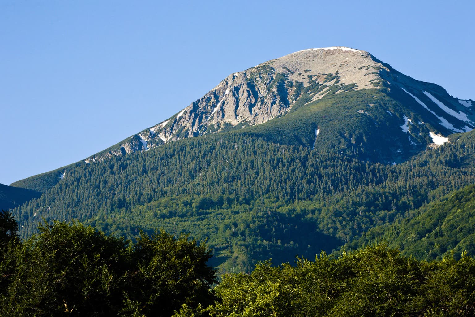 Mountain peak with snow patches and forested slopes under clear blue sky