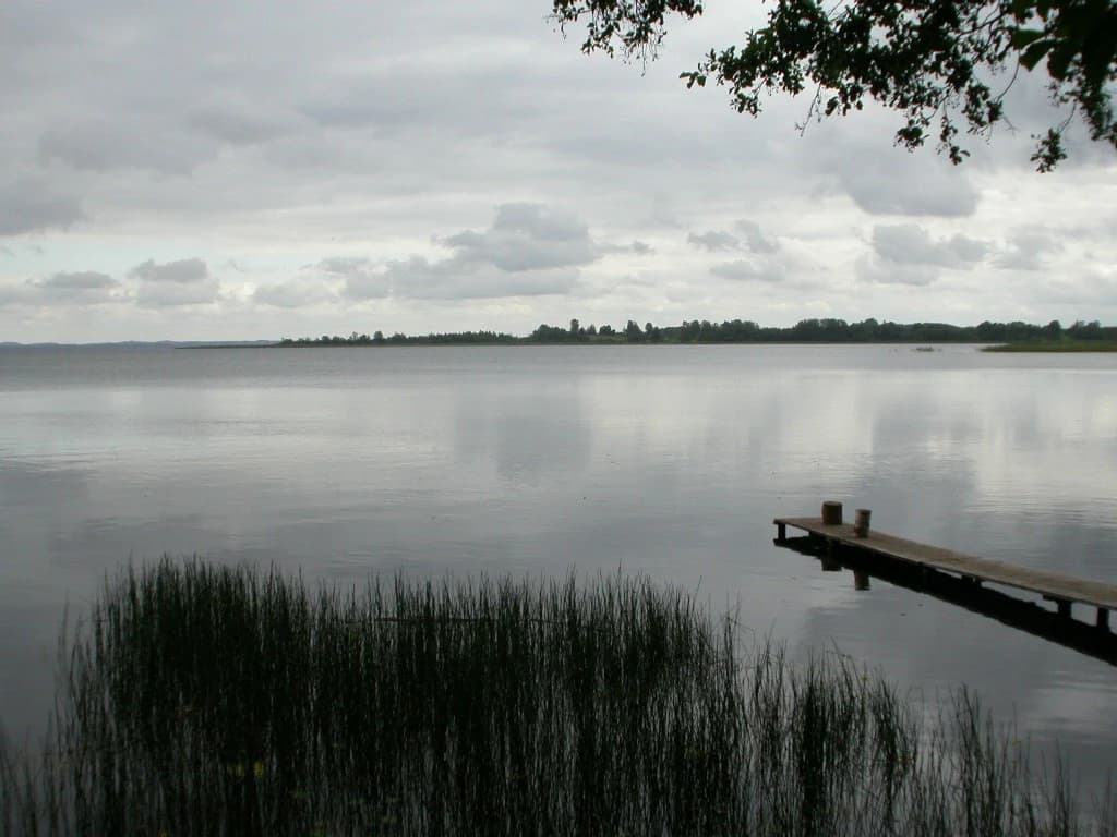 Calm lake with wooden dock extending into water, tall reeds in foreground, cloudy sky