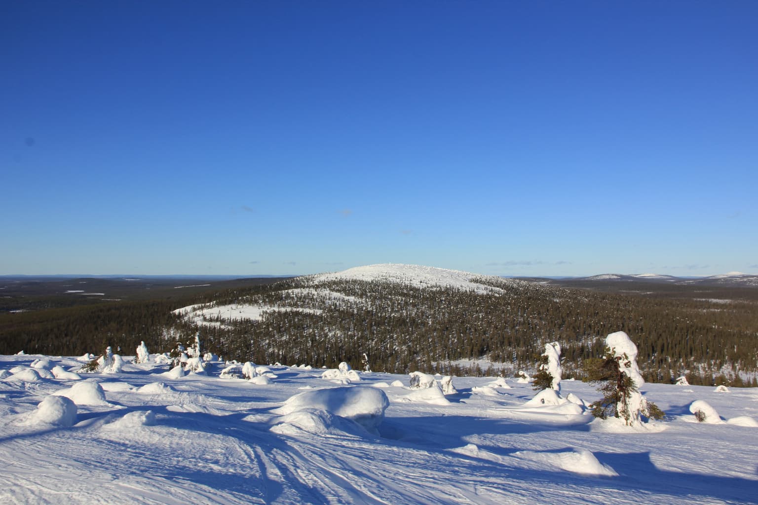 Snow-covered mountain peak under clear blue sky with scattered snow-laden trees and forested valley in background