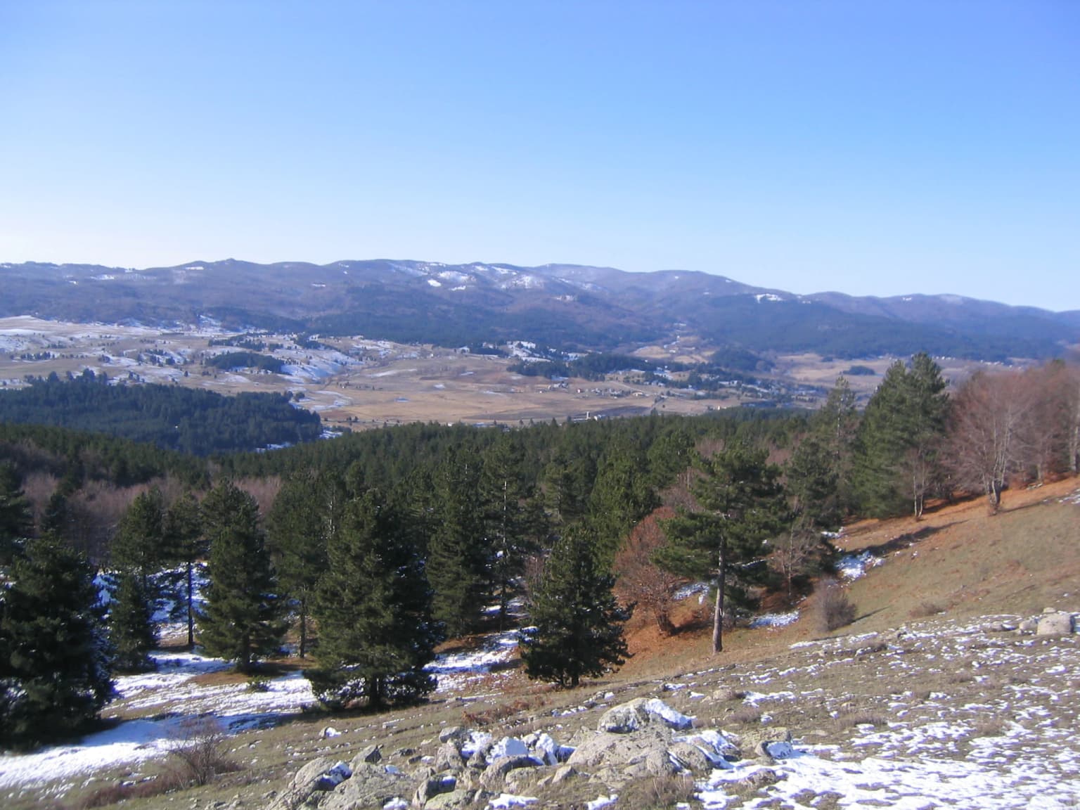 Wide landscape view of forested hills with patches of snow, distant mountain ranges under clear blue sky
