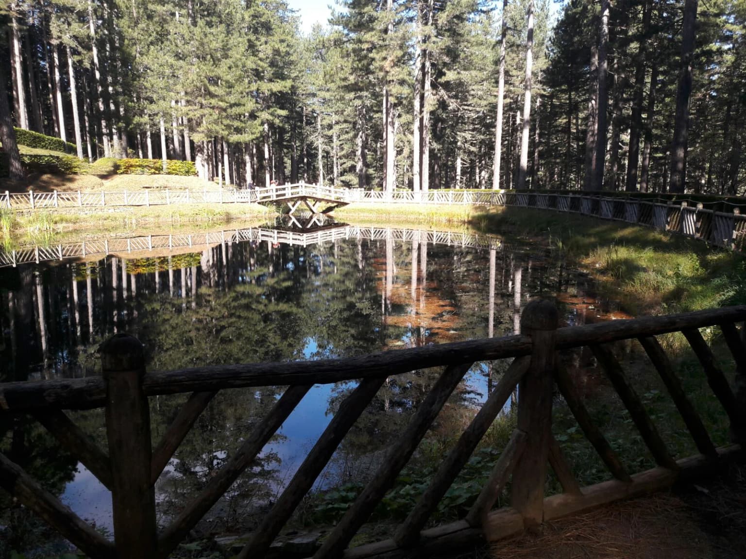 Wooden railing in foreground, still lake reflecting trees and bridge, tall pine trees in background