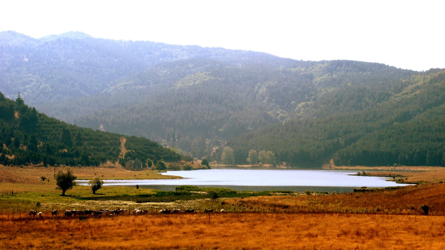 A large lake surrounded by rolling hills and mountainous terrain with forested slopes and grassy fields