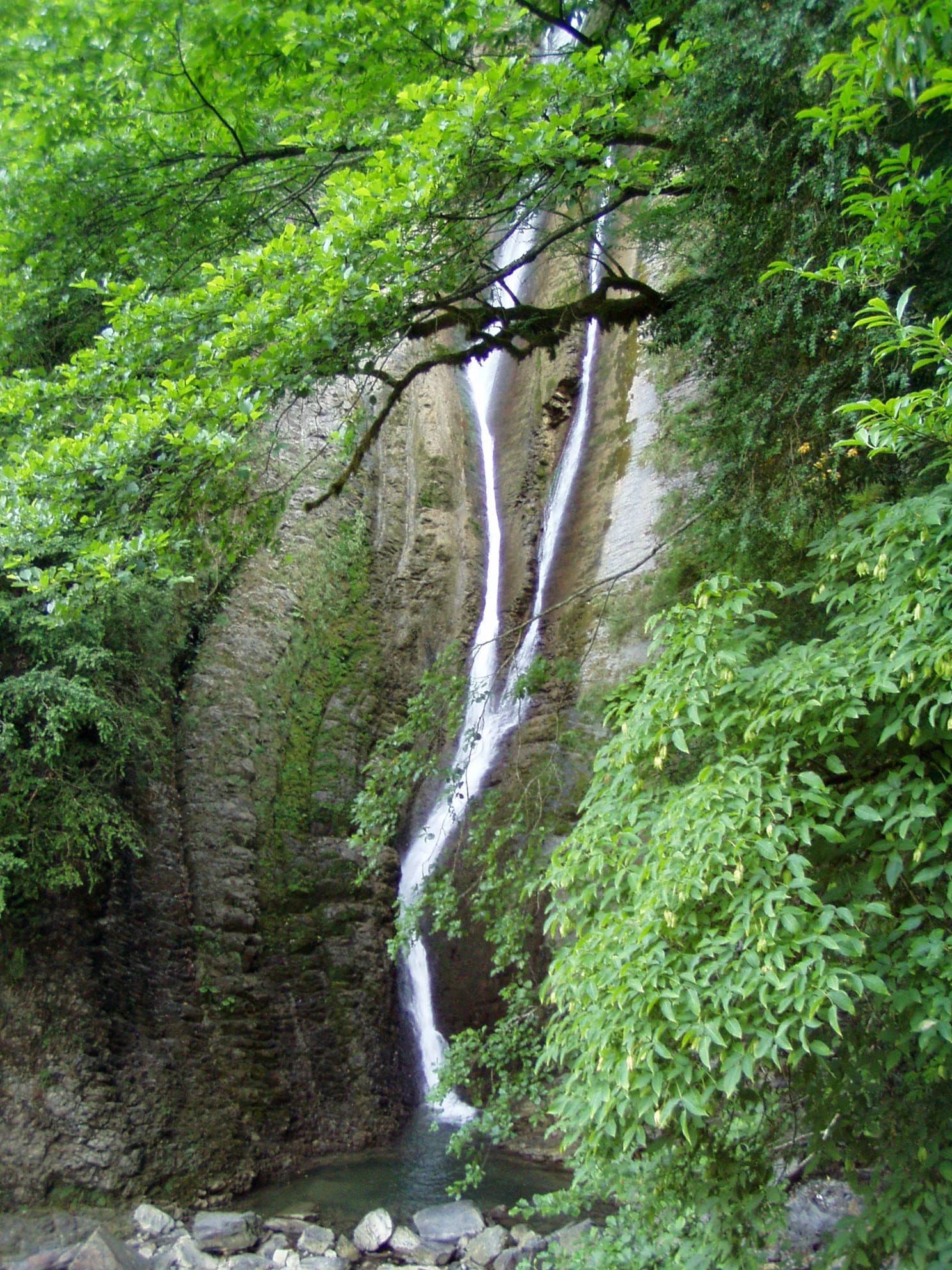 Tall waterfall cascading down rocky cliff surrounded by dense green foliage and trees