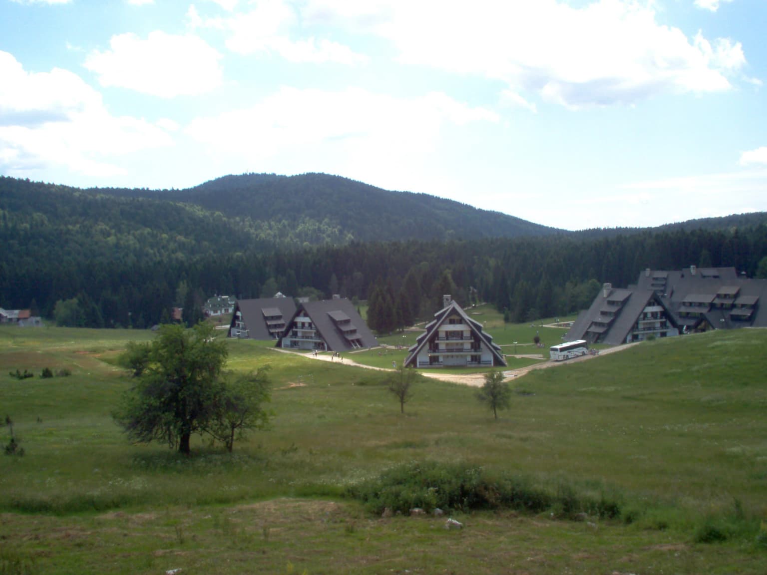 Grassy field with several chalet-style buildings, a single tree in the foreground, and forested mountains under a partly cloudy sky