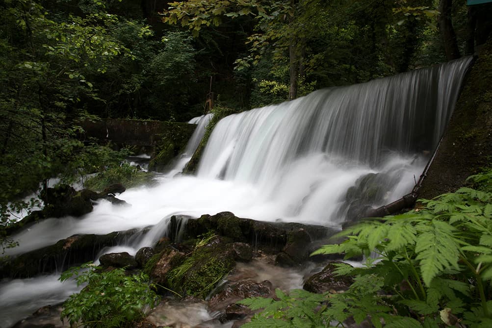 Waterfall cascading over rocks surrounded by dense green foliage and trees