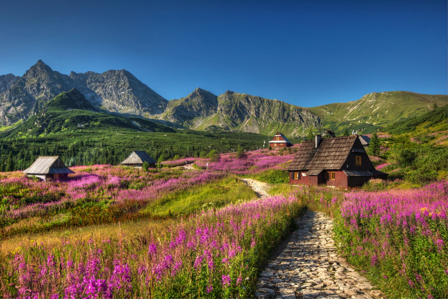 Stone path through a meadow with purple wildflowers leading to wooden cabins with mountain peaks in the background