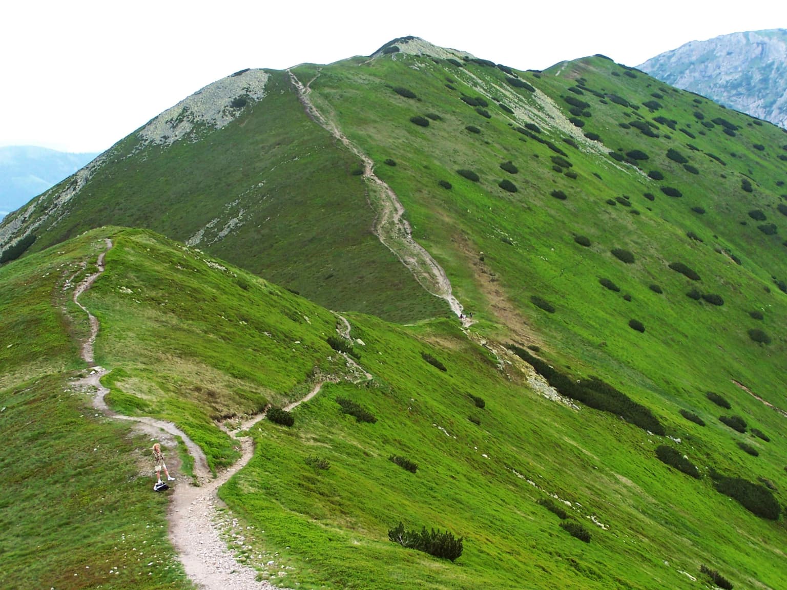 Hiker walking on a dirt trail through a grassy mountain slope with scattered bushes and distant peaks