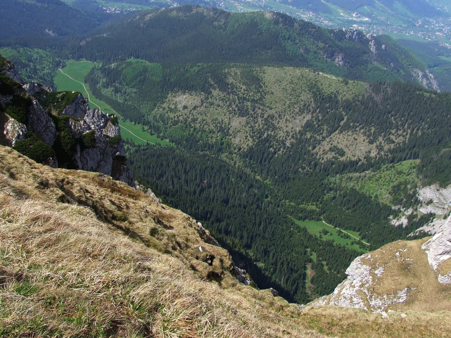 Grassy mountain slope overlooking a forested valley with distant mountain peaks