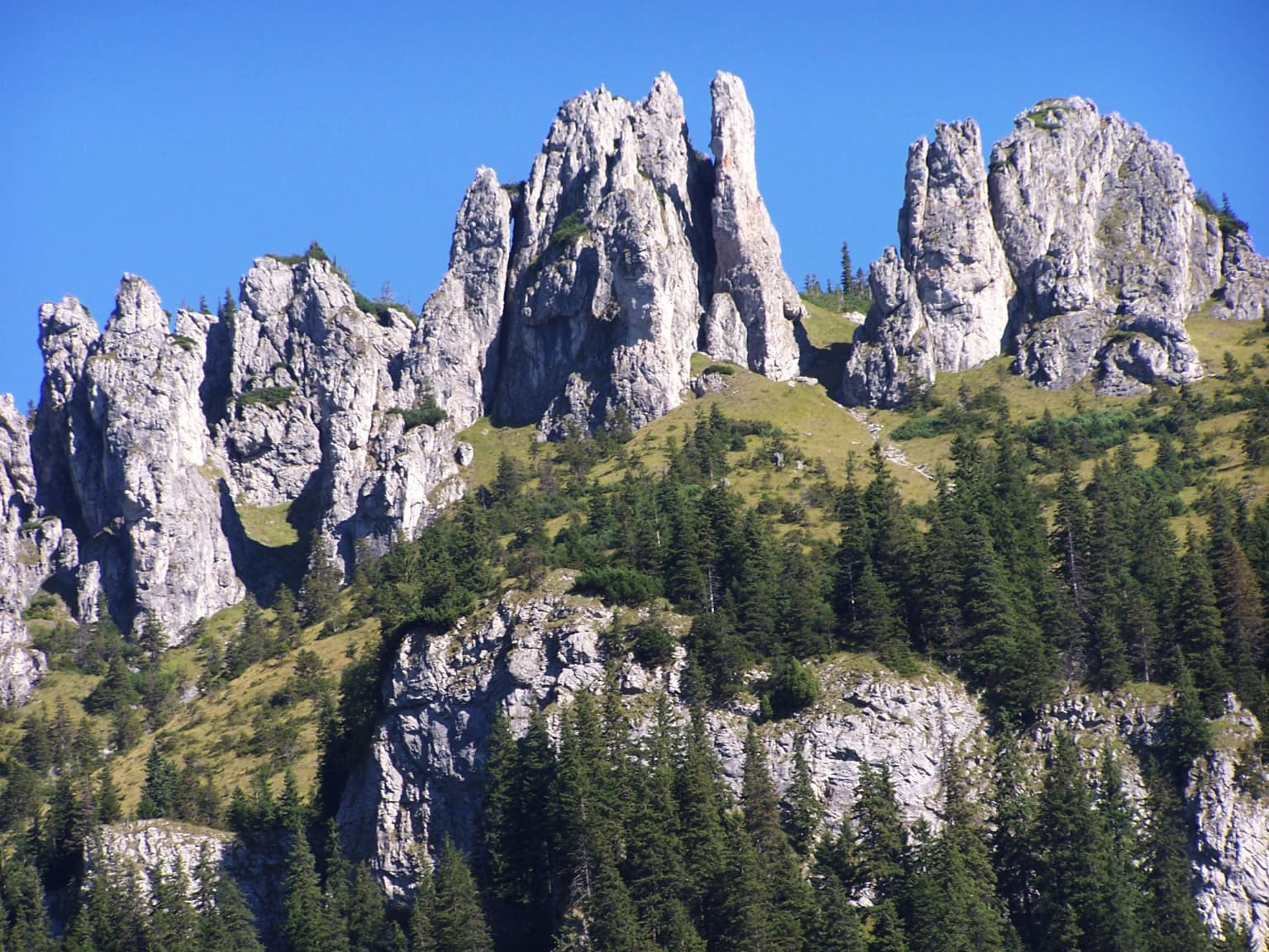 Rocky mountain peaks and forested slopes under a clear blue sky
