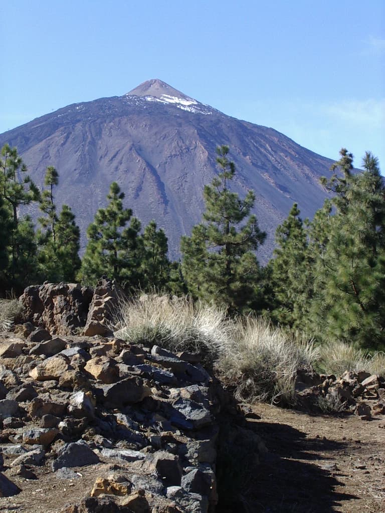Mount Teide with snow on its peak, rocky terrain and pine trees in the foreground, clear blue sky background