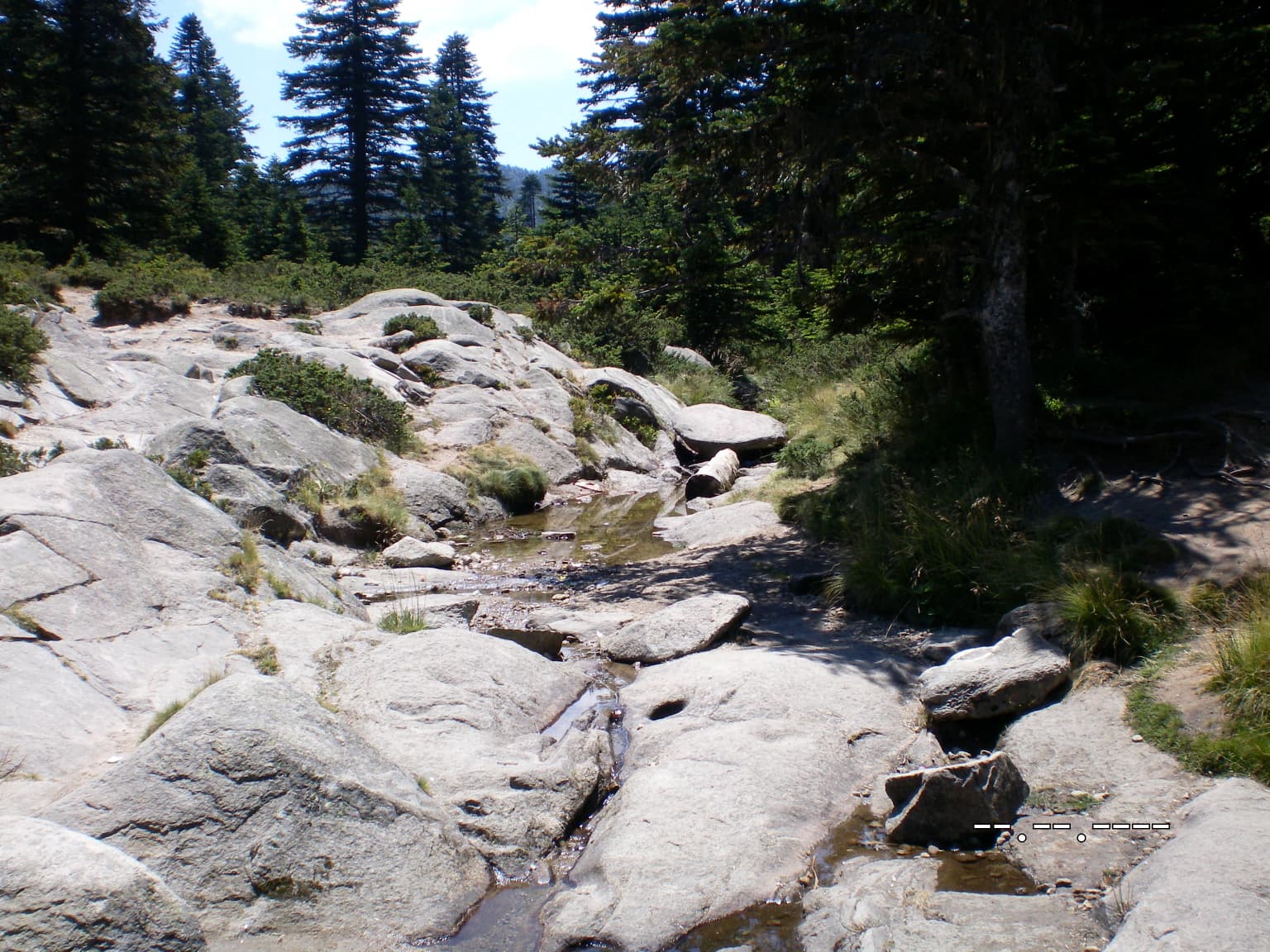 A stream flowing through large rocks with green vegetation and trees in the background
