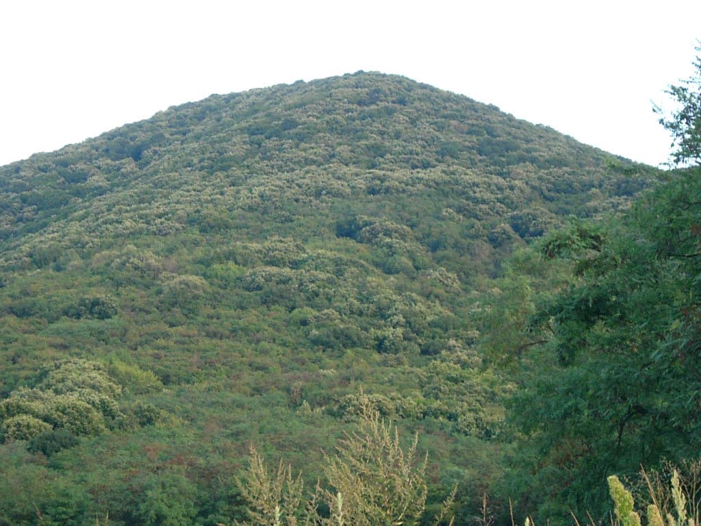 Dense forest-covered mountain peak under a clear sky