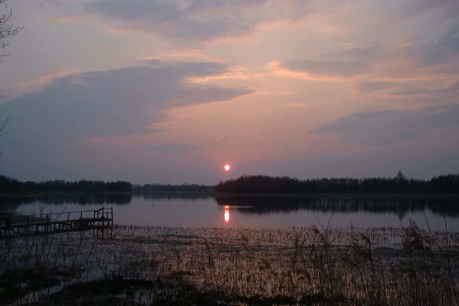 Sunset over a calm lake reflecting the sun with a wooden pier on the left, reeds in the foreground, and a forested horizon under a pink and purple sky