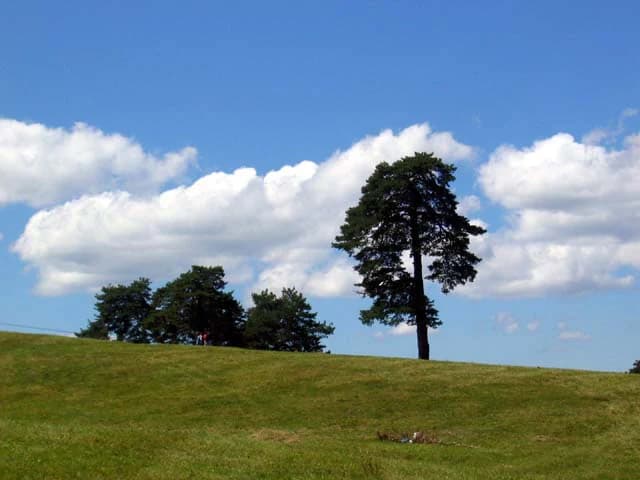 Green grassy hill with three trees on the horizon under a bright blue sky with white clouds