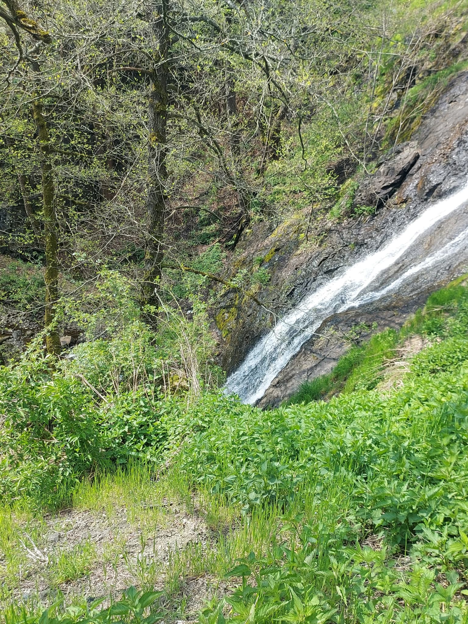 A waterfall cascading down a rocky slope surrounded by lush green vegetation and trees