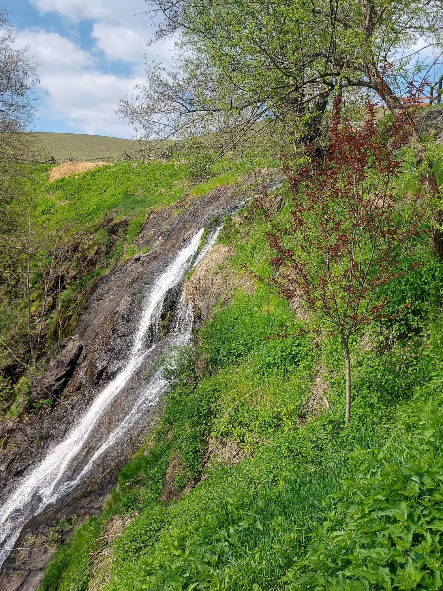 Waterfall flowing down rocky terrain surrounded by lush green vegetation and trees under a partly cloudy sky