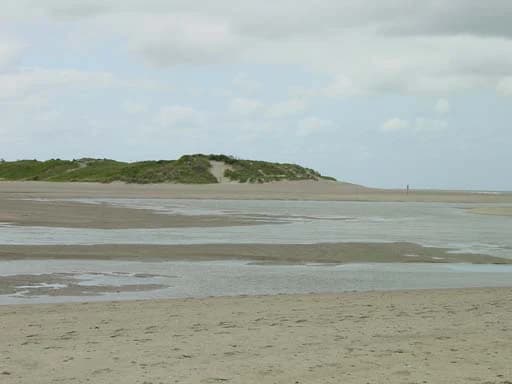 Sandy beach with shallow tidal water channels and low sand dunes covered in sparse vegetation under a partly cloudy sky.