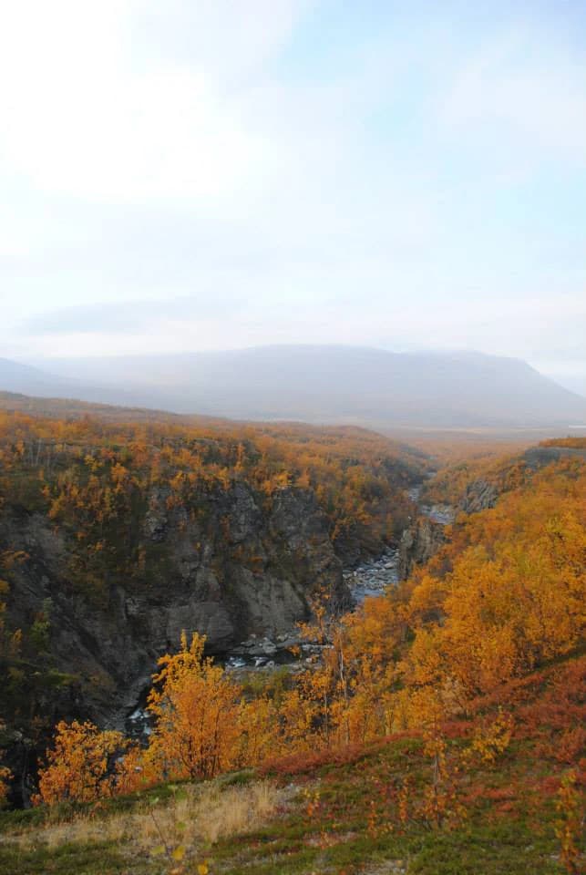 Amplia vista paisajística del Cañón de Nissånjokkens con un río fluyendo a través de acantilados rocosos, rodeado de árboles de colores otoñales y montañas distantes bajo un cielo parcialmente nublado