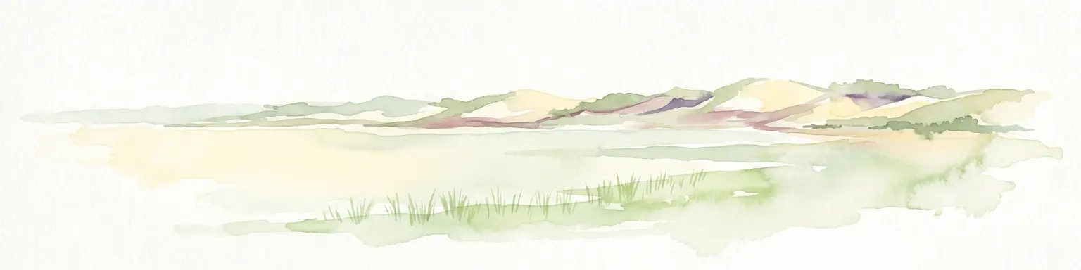 A soft watercolor painting depicting a flat, open coastal landscape with rolling, pale-colored dunes in the distance and muted green grasses in the foreground against a white background.