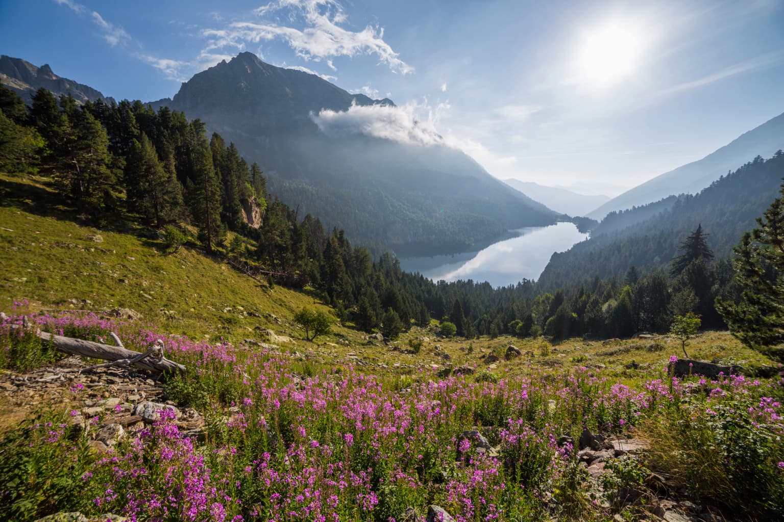 A scenic view of a mountain lake with purple wildflowers in the foreground, forested slopes, and snow-capped peaks under a partly cloudy sky
