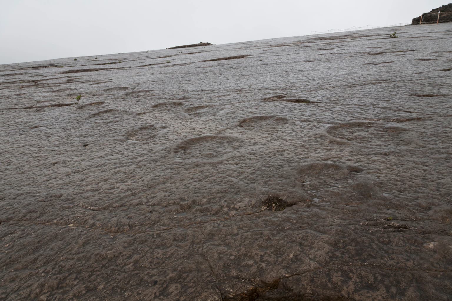 Serra de Aire Dinosaur Footprints