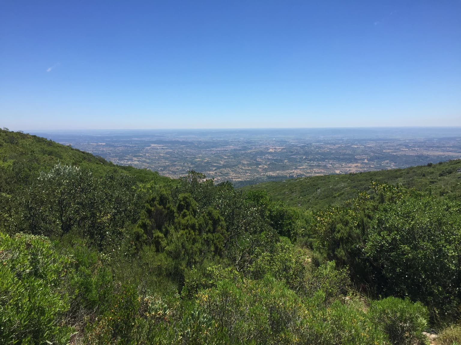 Lush green hills and valleys under a clear blue sky with distant plains visible.