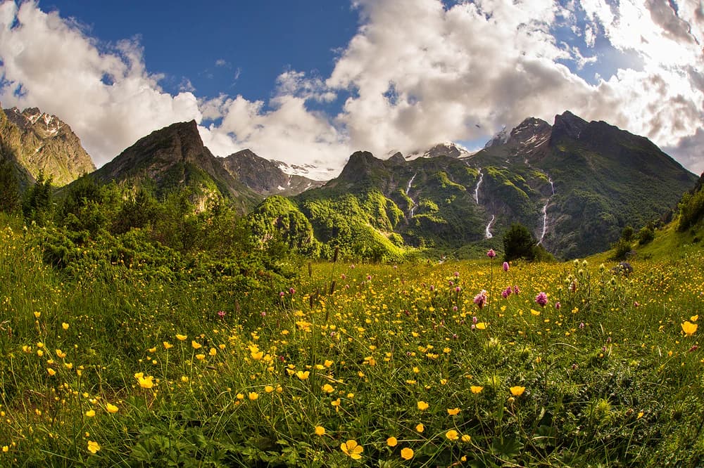 Yellow and pink wildflowers in a meadow with green mountains and waterfalls under a partly cloudy sky
