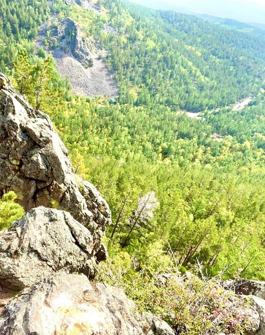 Rocky outcrops in foreground with dense green forest and mountain slope in background