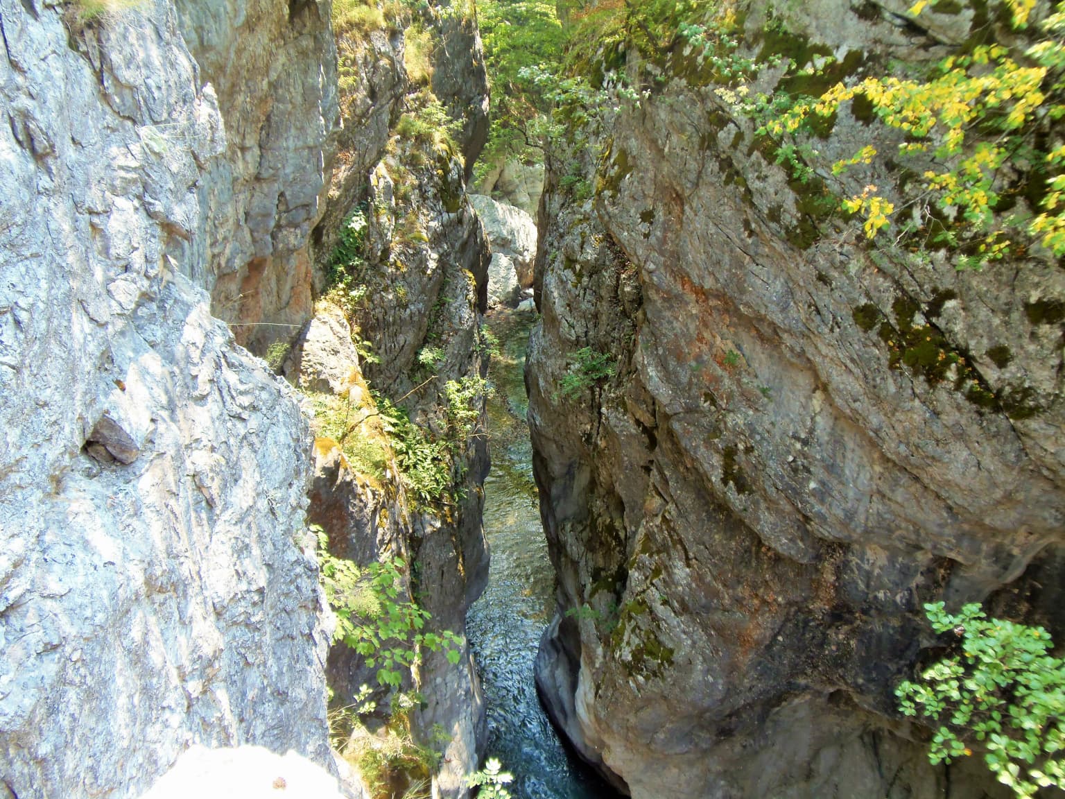 Narrow canyon with steep rocky walls and a stream running through it, surrounded by green vegetation