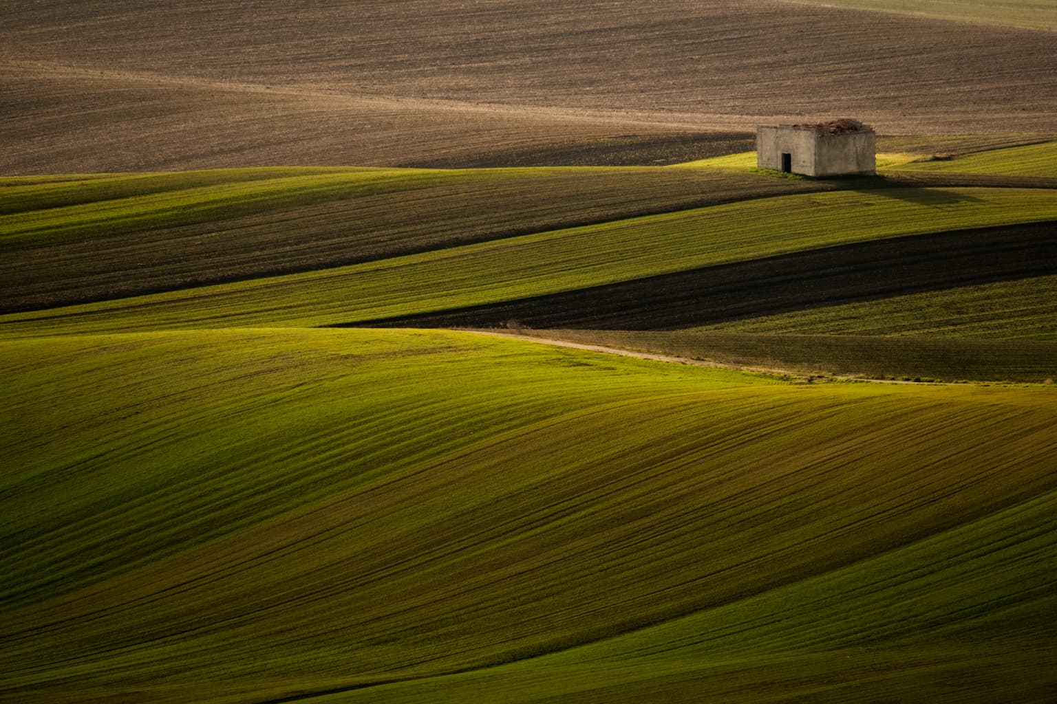 Rolling green and brown fields with a small stone structure in the distance under a clear sky