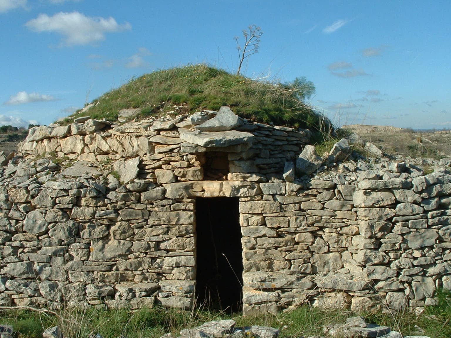 Stone trullo with conical grass-covered roof and dark entrance surrounded by grassy terrain under clear blue sky