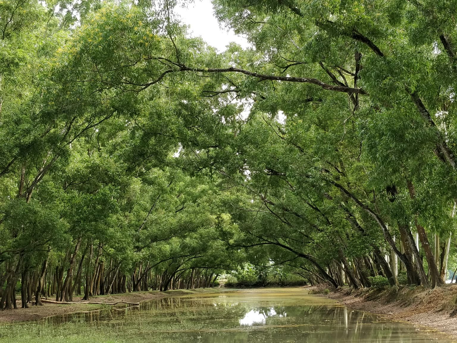 Altadighi National Park, Naogaon