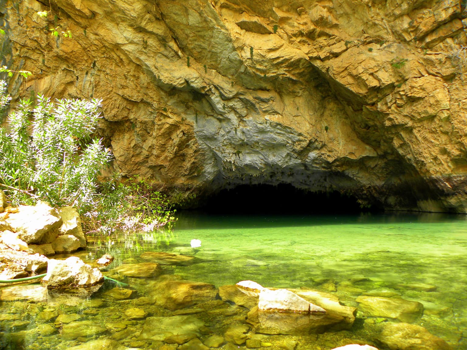 Cave entrance with clear green water, rocky formations, and vegetation