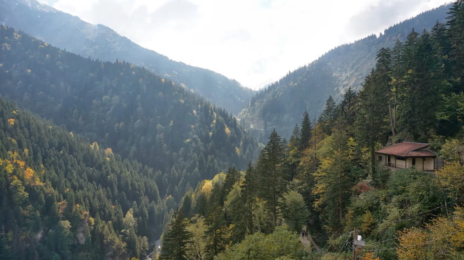 A wide valley between forested mountains with a small building on the slope