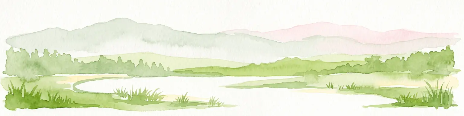 Una pintura en acuarela que muestra un humedal verde suave con agua tranquila, orillas cubiertas de hierba y colinas onduladas en la distancia en tonos rosa pálido y verde.