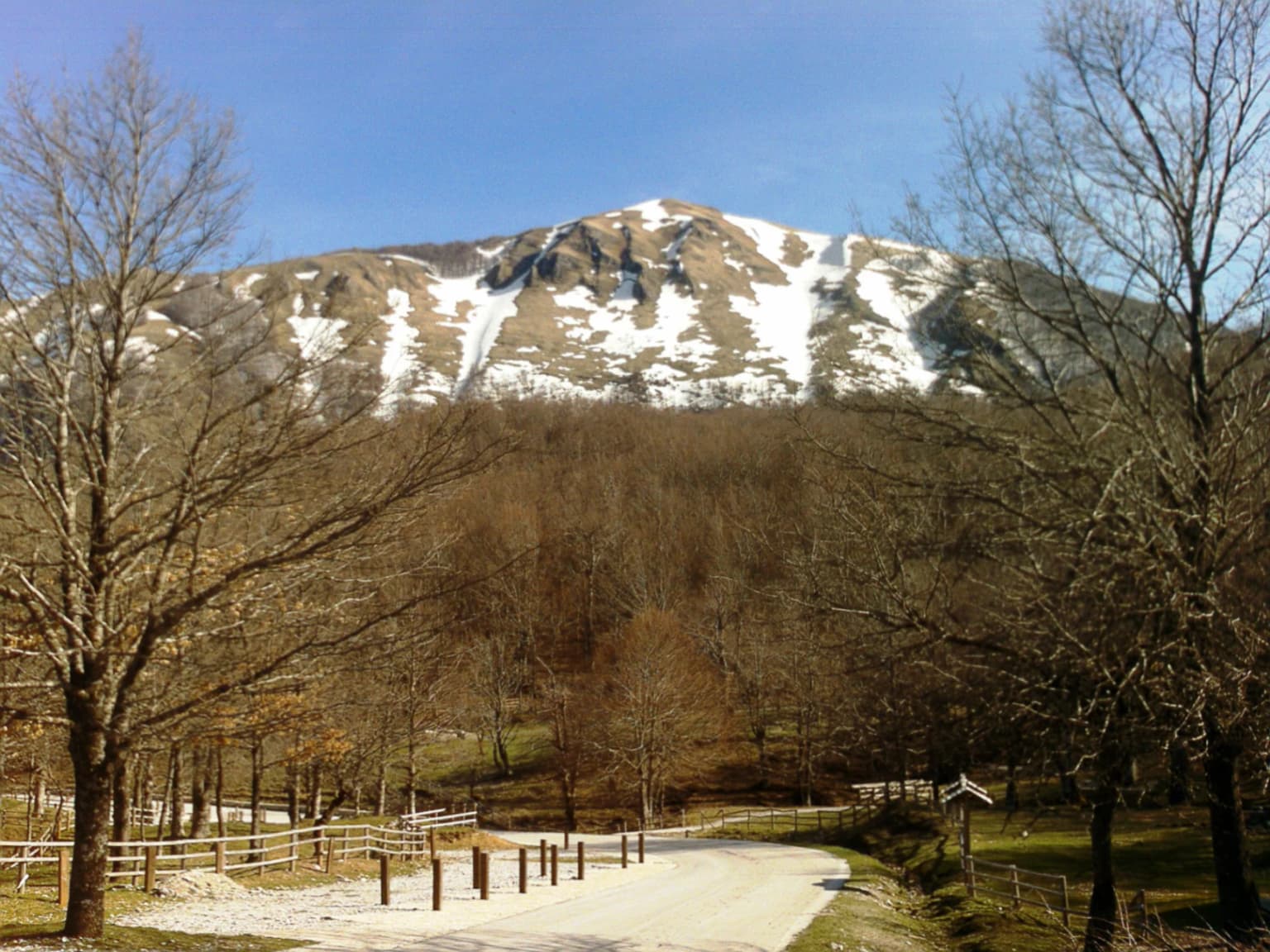 Snow-capped mountain peak with patches of snow, surrounded by leafless trees and a dirt road with a fence