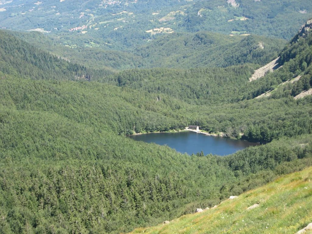 Panoramic view of a lake surrounded by dense green forests and mountain slopes in a national park