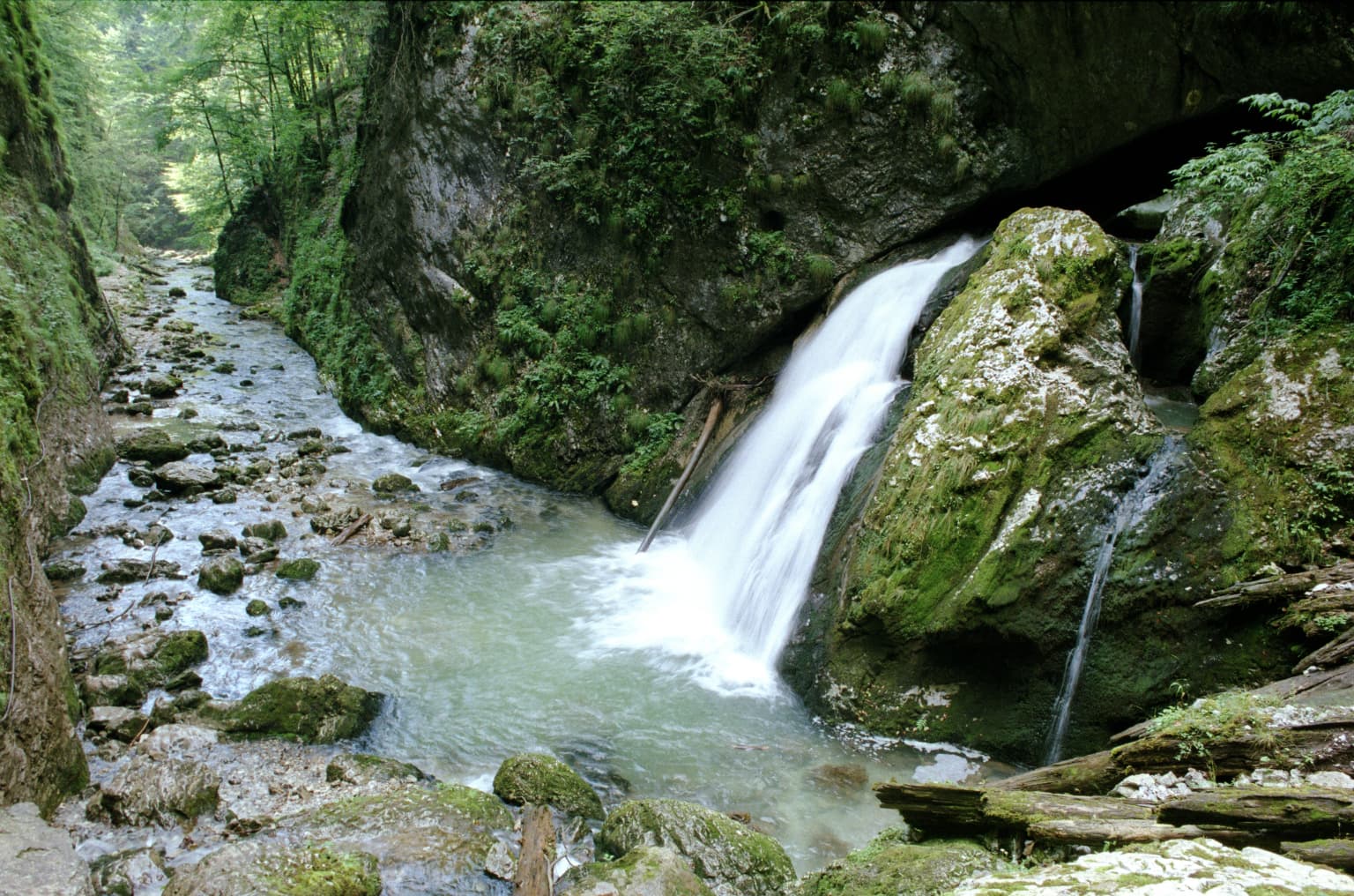 A waterfall cascading over moss-covered rocks into a river in a forested gorge