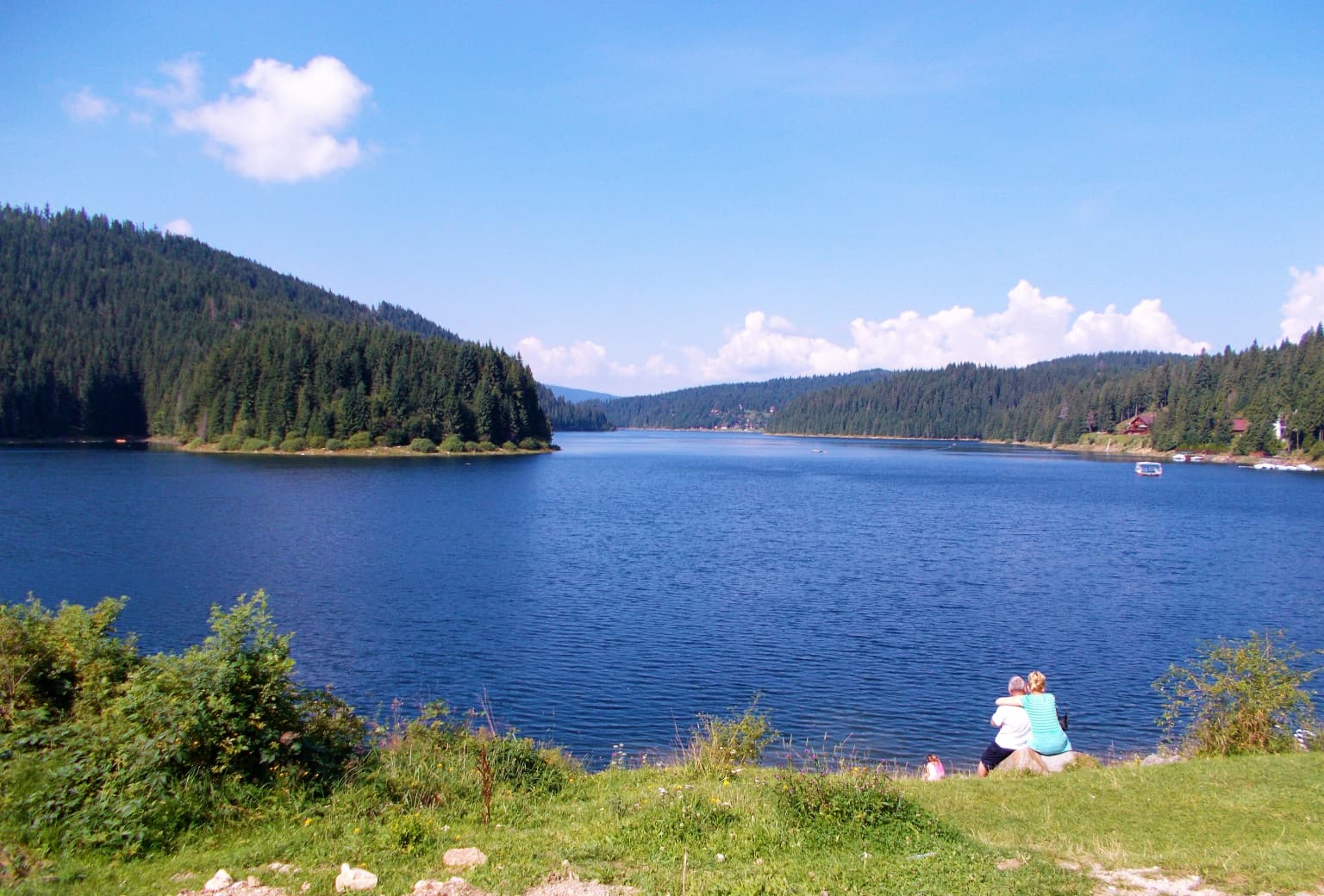 A lake surrounded by forested mountains under a clear blue sky with two people sitting on the grassy shore
