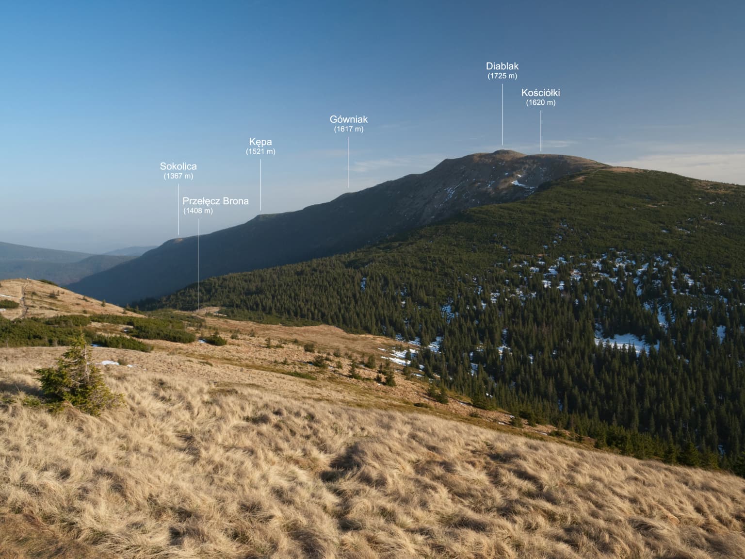 Grassy hillside in foreground with forested slopes and mountain peaks labeled Słopik, Kopan, Czerna, Babia Góra, Rudnica under clear blue sky.