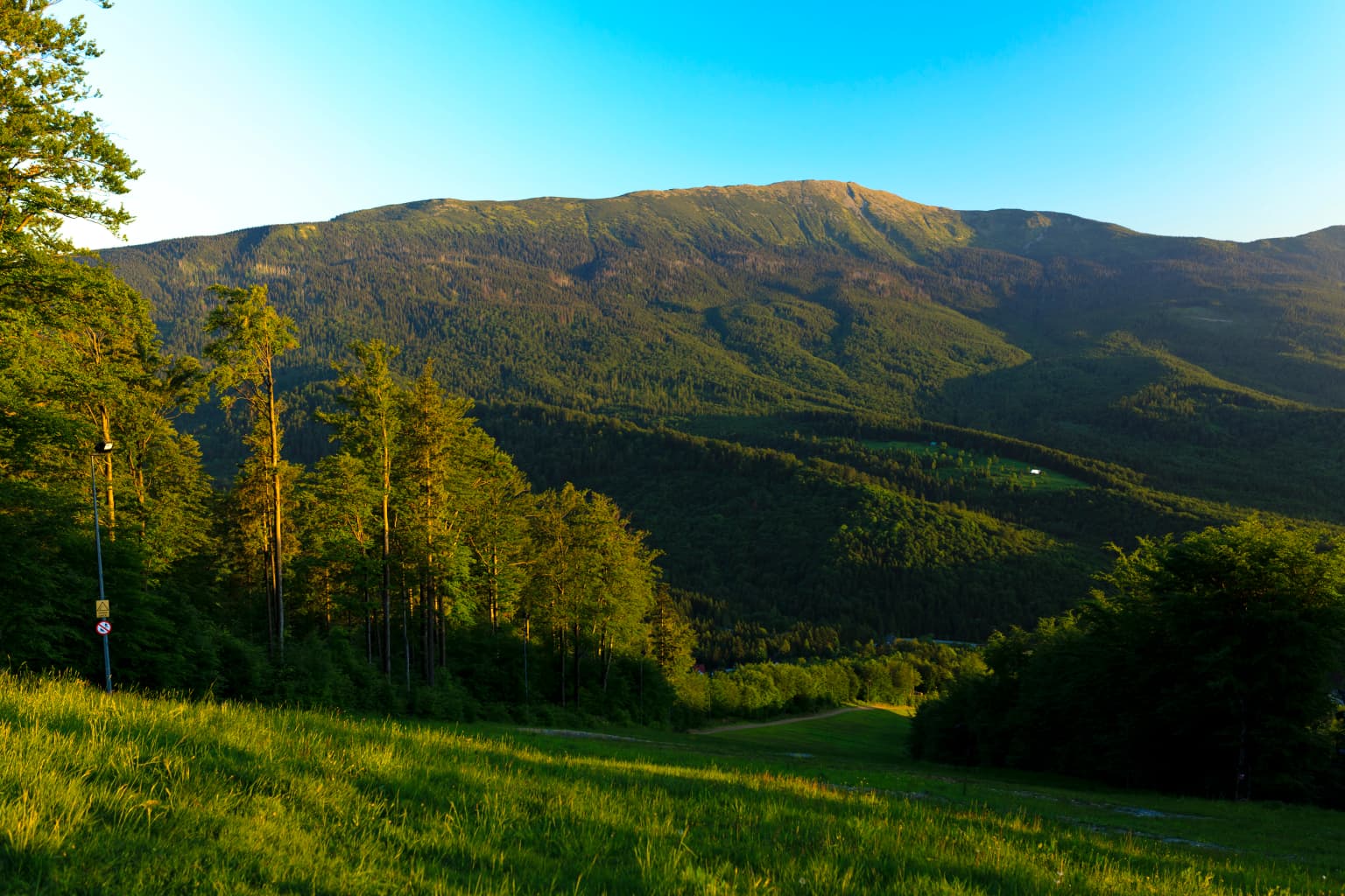 Mountain landscape showing Babia Góra with forested slopes and grassy foreground under clear blue sky
