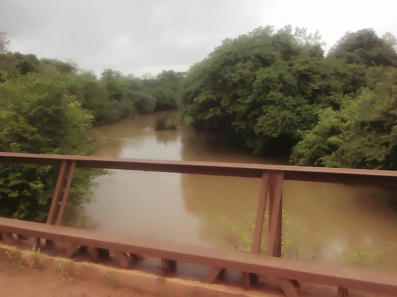 A reddish-brown metal bridge railing in the foreground with a muddy brown river and dense green trees on both banks under a cloudy gray sky