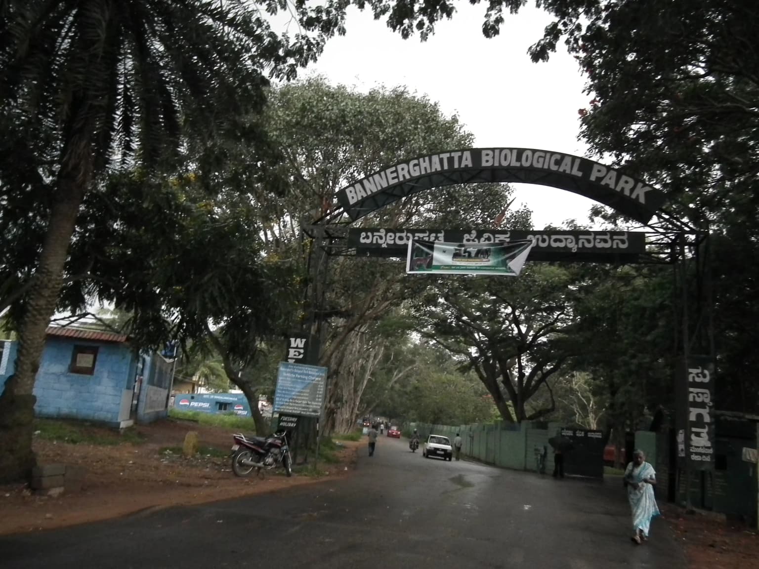 Bannerghatta National Park - Bangalore 8712