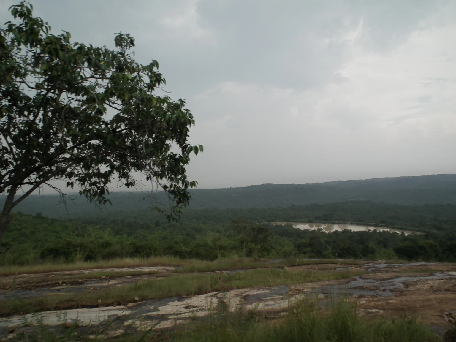 Bannerghatta National Park, Bangalore