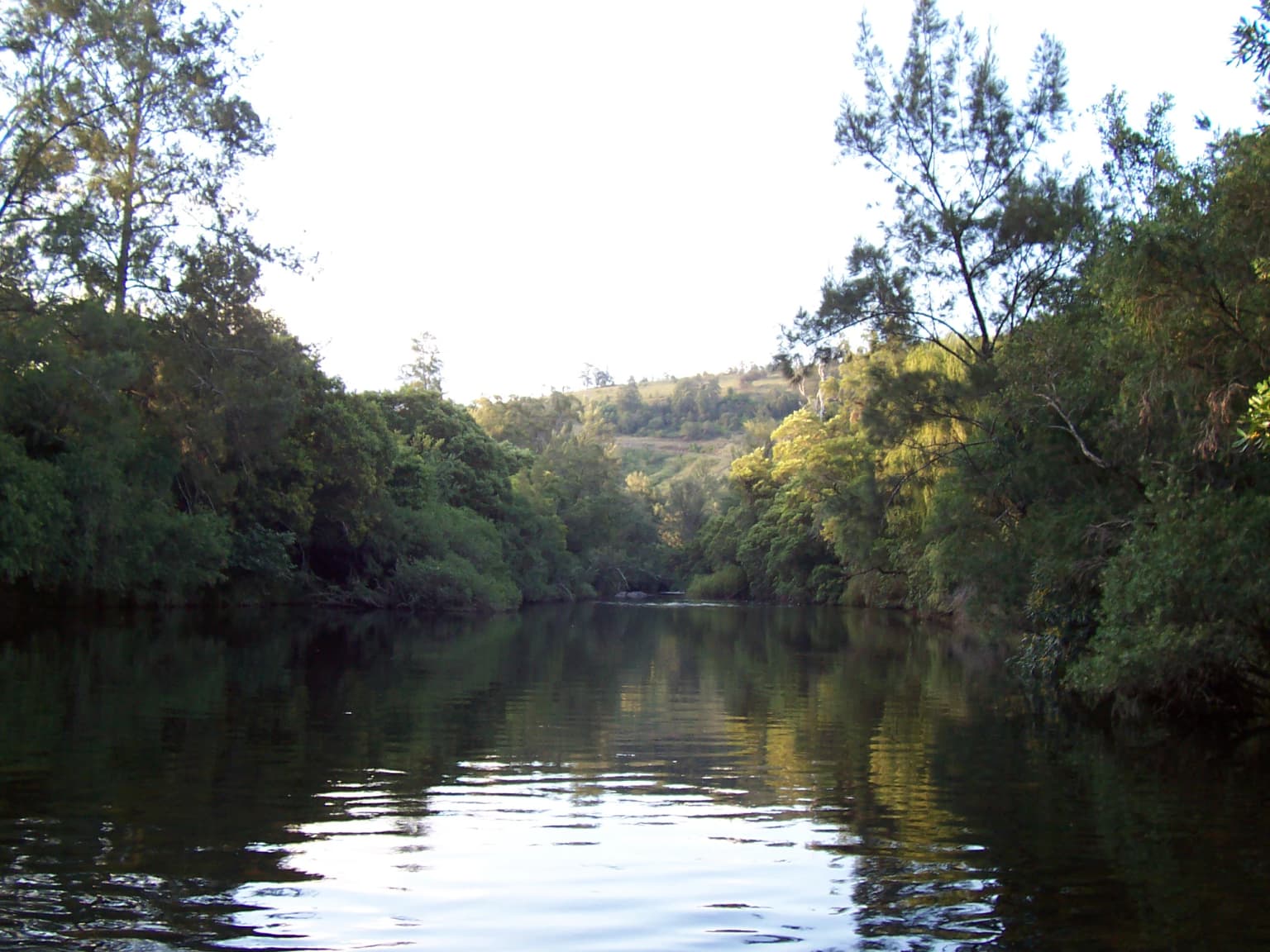 Calm river with reflections surrounded by dense green forest on both sides, with forested hills in the background