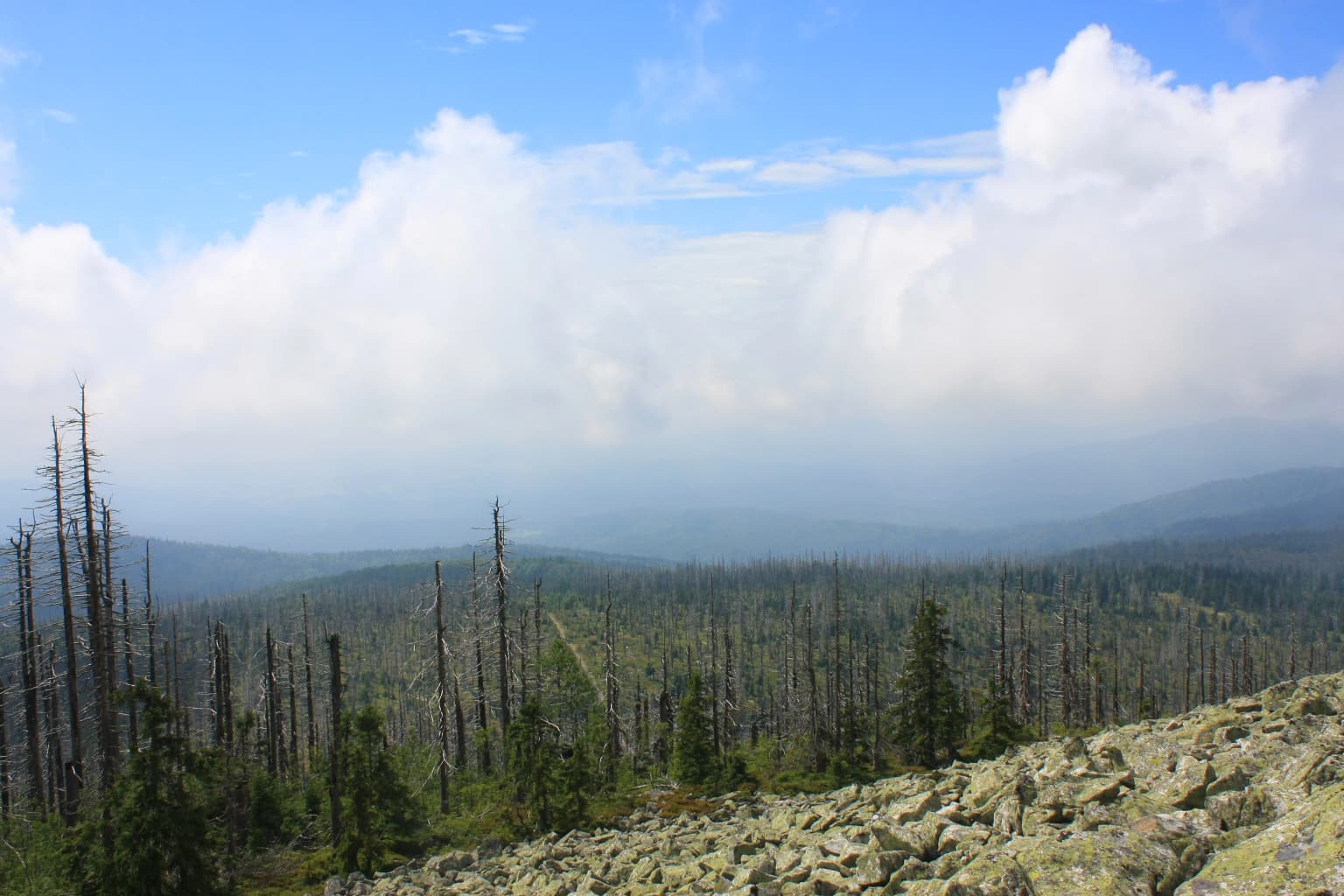 Landscape view from a mountain summit showing forested valleys, distant mountains, and rocky terrain in the foreground under a partly cloudy sky