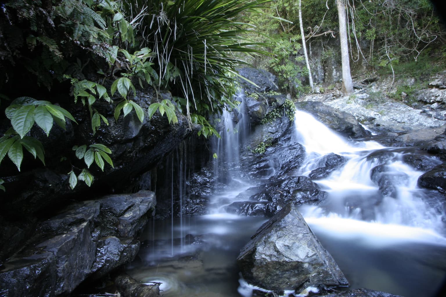 Cascada que fluye sobre terreno rocoso con densa vegetación verde en el lado izquierdo