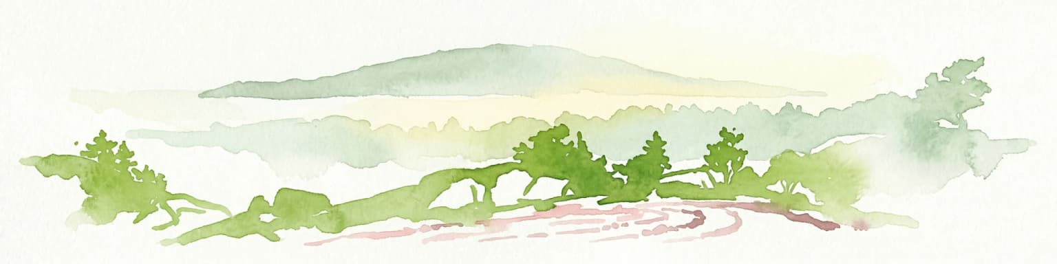 Watercolor illustration of a mountain range with trees and a winding path