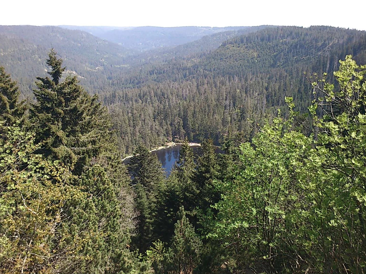 A high-angle view of a forested mountain valley with a small lake visible in the midground, surrounded by dense evergreen trees and rolling hills